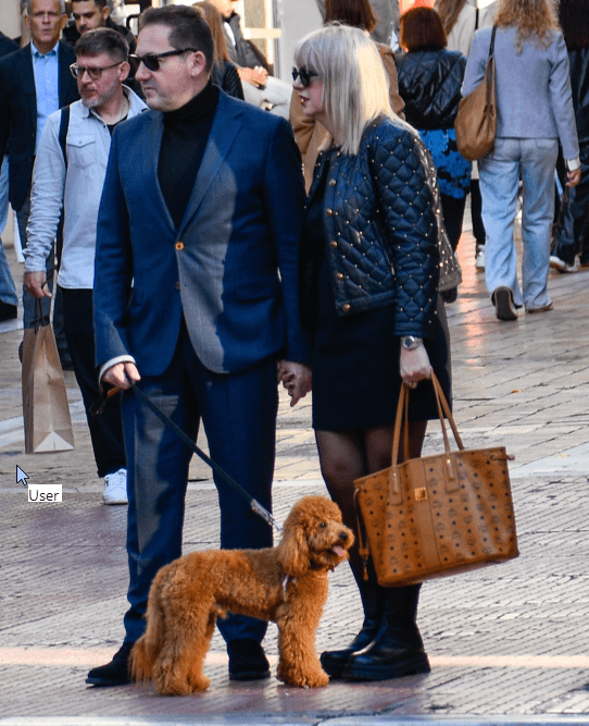 Η βόλτα του Στέλιου Πέτσα με την σύζυγό του και τον σκύλο τους στο κέντρο της Αθήνας