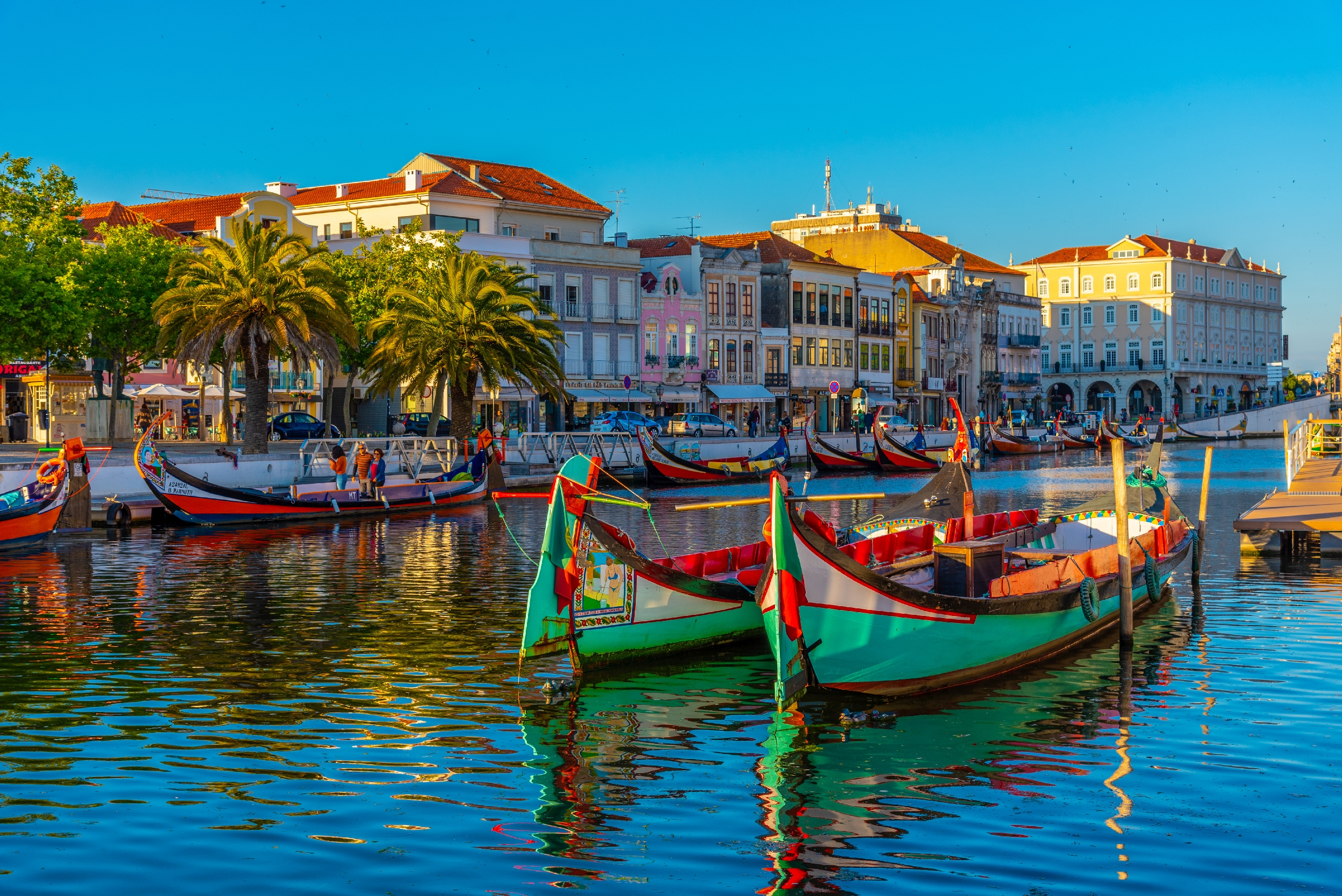 barcos moliceiros
